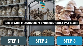 Shiitake Mushroom indoor Cultivation at home  Commercial Farming amp marketing of Lentinus edodes [upl. by Parik]