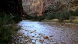 Kanab Creek Flash Flood  Grand Canyon [upl. by Devaj]