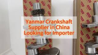 Explore Original Yanmar Crankshafts for All Equipment Types [upl. by Enibas60]