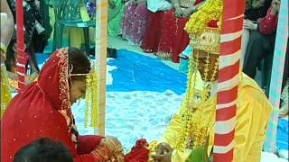 Traditional Hindu Wedding Highlights Bhama  Manu [upl. by Nosyt433]