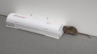 Automatyczna elektryczna pułapka na gryzonie radar Automatic electric rodent trap [upl. by Margret]