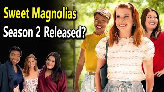 Sweet Magnolias Season 2 Trailer 2021 Release Date [upl. by Sandy]