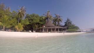 Bandos Maldives  House Reef [upl. by Encratia]