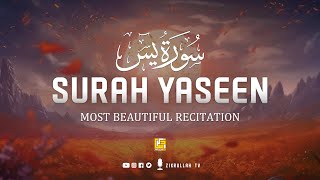 Worlds best recitation of Surah Yaseen  سورة يس ⋮ Healing Quran ⋮ Zikrullah TV [upl. by Banquer817]