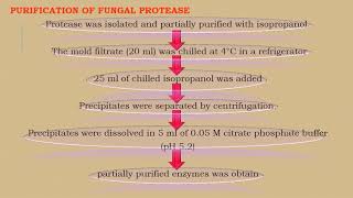 Protease Production Part 2 [upl. by Sivrep]