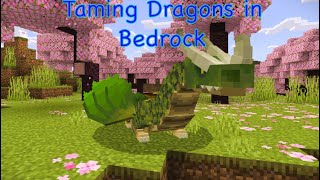 Taming Dragons in Bedrock The Adventure Begins [upl. by Navy]