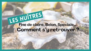 60 clés pour comprendre les huîtres  1 Fine de claire Belon Spéciale… Comment s’y retrouver [upl. by Llertniuq]