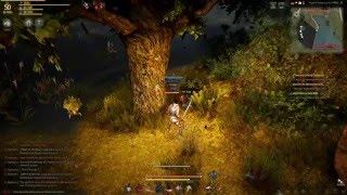 Black Desert  Easter Eggs [upl. by Eimrej192]