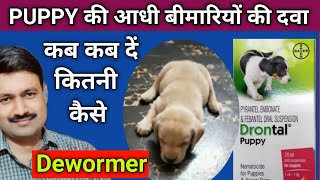 Drontal Puppy Wormer Suspension how to use  Best Deworming Syrup for puppy [upl. by Anerres]