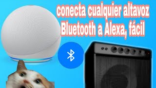 cómo vincular vía Bluetooth cualquier altavoz a Alexa echo dot4 [upl. by Ennahgem237]