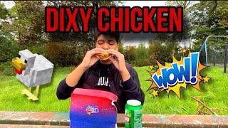 The felaztrials review Dixy Chicken Burger extra spicy🥵 [upl. by Ainod]