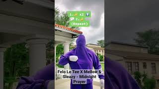 Felo Le Tee X Mellow amp Sleazy  Midnight Prayer  Amapiano Dance Challenge Tutorial amapiano [upl. by Sussi]