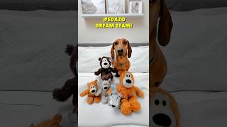 ¡SORPRESA en el pelotón 🐻💖 perrosalchicha teckel dachshund perros humor viral dog [upl. by Harrietta821]