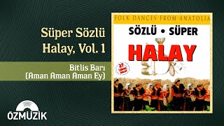 Bitlis Barı Aman Aman Aman Ey  Süper Sözlü Halay Vol 1 Official Audio [upl. by Drof]