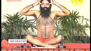 NISHULK AVASIYA YOG SHIVIR HARIDWAR BABA RAMDEV [upl. by Elma]