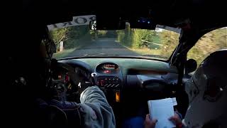 RALLY CITTA DI MODENA 2018  ZANOTTI M  NARDINI G PS1 206 A7 [upl. by Rexanna]