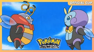 Volbeat amp Illumise  Pokémon Advanced Challenge  Official Clip [upl. by Anelagna]