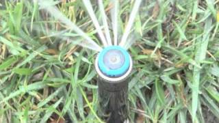 Multistream Sprinkler Heads [upl. by Claudy767]