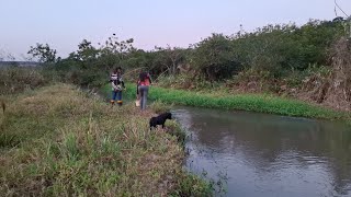 PESCARIA NA TOCA DA ONÇA E FRITO TOP DE LINHA PESCA DEU GIGANTE NA PONTA DA LINHA [upl. by Lilybelle]