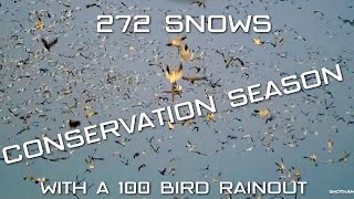 SNOW GOOSE CONSERVATION SEASON EPIC HUNTS 2023 [upl. by Adnilrem888]