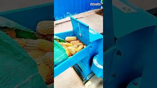 Corns pulverizing processing machine shorts [upl. by Emearg]