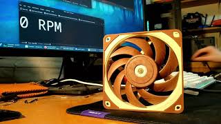 Noctua NFA12x25 PWM  Fan Noise [upl. by Vina]