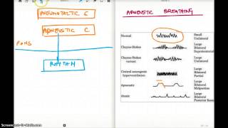 APNEUSTIC BREATHING [upl. by Monda]