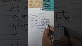 Dihybrid Cross Click link for complete video httpsyoutubeUL1GBpiqfAYsiPzswqJu4bB6TsEhS [upl. by Ramej]