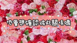 🌹確認關係YES or No🌹他是否想要與你穩定下來 愛咪塔羅✨小雷慎入 [upl. by Areikahs701]