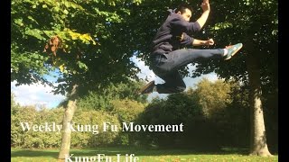 Shaolin Combination Kicks Flick Kick amp Jumping Kick Cai Jiao amp Er Ti Jiao [upl. by Aretina808]