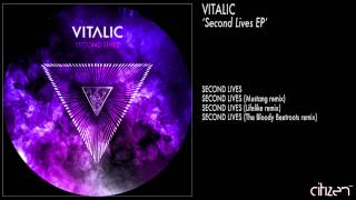 Vitalic  Second Lives Lifelike Remix [upl. by Bocyaj]