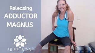 Releasing adductor magnus on chair [upl. by Havelock]