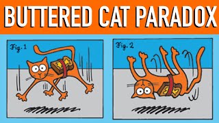 The Buttered Cat Paradox Shorts [upl. by Wenda]