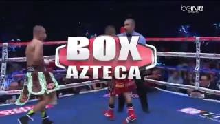 Juan Francisco Estrada vs Giovani Segura [upl. by Rammus]