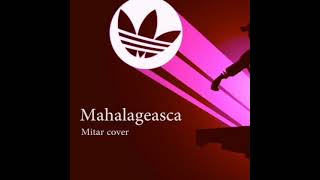 Mahalageasca  Mitar Cover Borat Soundtrack [upl. by Quinn]