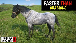 4 Horses faster than Arabains amp How to obtain them  Red Dead Redemption 2 [upl. by Florella]