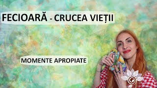 FECIOARĂ Crucea Vieții  momente importante Zodii de PĂMÂNT Tarot [upl. by Miyasawa]