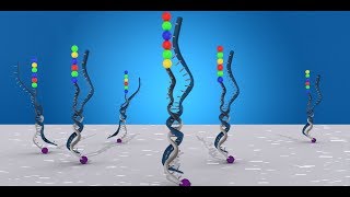 nCounter Technology by NanoString  Direct Detection for Gene and Protein Expression Profiling [upl. by Geis]