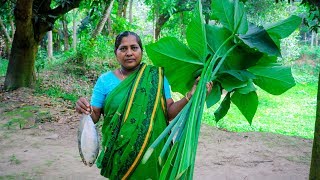 Hilsa amp Arum Spinach Village Cooking Recipe by Village Food Life [upl. by Hannahs]