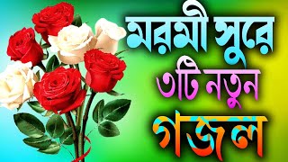 মরমী সুরে ৩টি নতুন গজল  Islamic New Gojal  Ghazaltv25  Gojal Gojol Ghazal lyrics Gojal [upl. by Deeas]