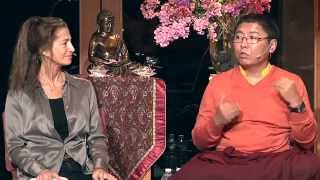 Open Heart Open Mind  Tara Brach with Tsoknyi Rinpoche [upl. by Byron]