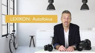 Lexikon Autofokus Wie Du scharfe Fotos trotz billigem Autofokus bekommst  Der Kurs für Eltern 2019 [upl. by Aihsyt219]