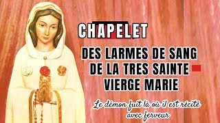 🔴 ROSAIRE au PRÉCIEUX SANG de JÉSUS 🙏 Très PUISSANTE PRIÈRE 247 [upl. by Ardnekahs]