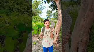 3D comedy video songs pk comedy boy funny shorts [upl. by Ressan]