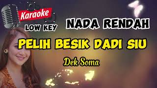 Karaoke Low Key Pelih Besik Dadi SiuDek Soma [upl. by Tisman633]