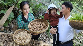 Happy Life Of Husband amp Wife Harvesting Palm Weevils  Garden Care amp Cooking  Ly Phuc An [upl. by Elocyn]