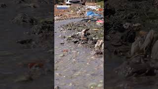 ‘Nothing works’ Fear and loathing in Mogale City as sewage disaster continues [upl. by Massarelli116]