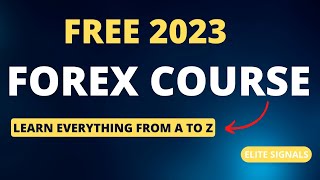 From Beginner to Pro Trader  FREE Forex Course 2023 [upl. by Arza]