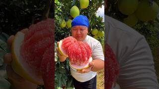 Amazing red honey pomelo fruit shorts [upl. by Noella]