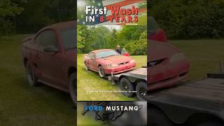 Abandoned Ford Mustang Barn Find Gets First Wash in 8 Years  Satisfying Car Detailing Restoration [upl. by Eliath]